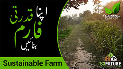 Sustainable Pakistan